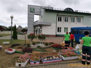 «Страусиная семья» – подарок слонимчан Скиделю