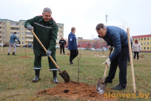 В Слониме работники райисполкома сажали деревья