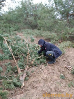 Первый студенческий отряд приступил к работе