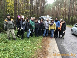 Рэспубліканская добраахвотная акцыя «Чысты лес» на Слонімшчыне